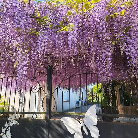 45m2 Au Calme Proche Montpellier Et Hopitaux Appartement Saint-Clément
